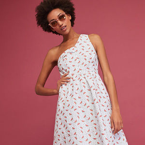 Anthropologie Watermelon Dress Cotton Sundress 4P